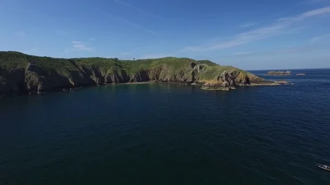 Sark fly in Stock Footage 78212242