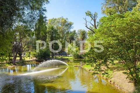 Sarmiento Park in Cordoba Stock Photos