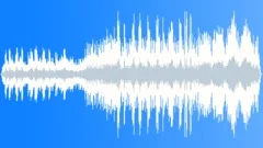 Sarod And Flute Raag BhairavStock Music