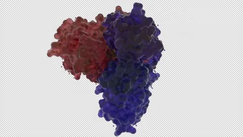 SARS Coronavirus Main Protease Stock Footage 154173455