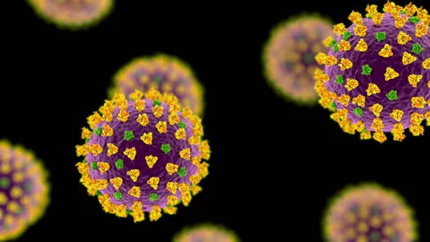 SARS-CoV-2, the coronavirus that causes COVID-19 Stock Footage 141721942