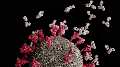 SARS-CoV-2 coronavirus specific immune antibodies binding spike proteins Stock Footage 150029353