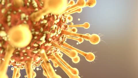 SARS-CoV-2 Иллюстрация