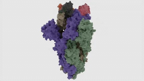 Sars-Cov-2 neutralizing Nanobody mNb6 스톡 동영상 154807193