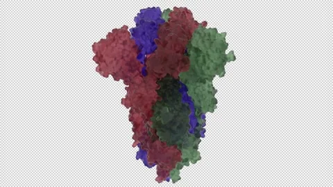 SARS COV 2 Spike Glycoprotein Stock Footage 153838567