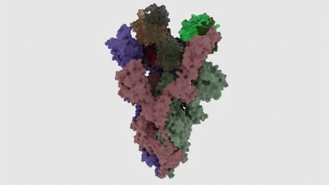 SARS-COV-2 Spike glycoprotein in complex with a neutralizing antibody EY6A Fab Stock Footage 154739154