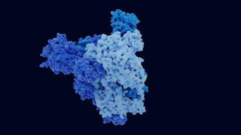 The SARS-CoV-2 spike protein, the predominant mutation D614G is highlighted Stock Footage 140926195