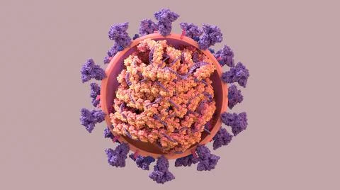 SARS-CoV-2, Structure of the Coronavirus genome a twisted strand of  of RNA  is Stock Illustration