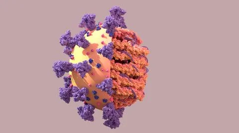 SARS-CoV-2, Structure of the Coronavirus genome a twisted strand of  of RNA  is Stock-Illustration