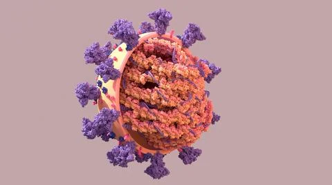 SARS-CoV-2, Structure of the Coronavirus genome a twisted strand of  of RNA  is Stock Illustration