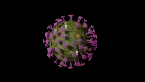 SARS-CoV-2 Virion, 3D Animation, Labeled Stock Footage 129316171