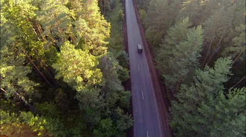 Сars on the road in the forest, aerial view Stock Footage 63457387