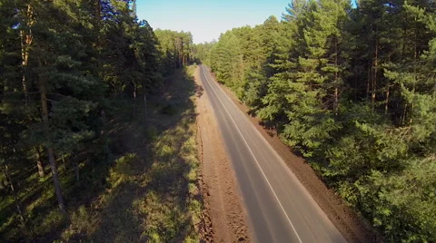 Сars on the road in the forest, aerial view Stock Footage 63457761