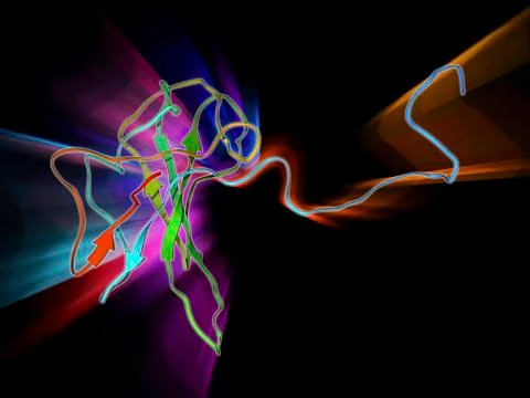 SARS virus capsid protein Stock Illustration