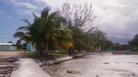 Sarteneja Medium Shot 스톡 동영상 62440679