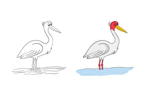 Sarus Crane Bird Cartoon Vector - Coloring Book Page and Color Illustration.. Stock Illustration