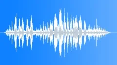 Sarus Crane CallsSound Effect