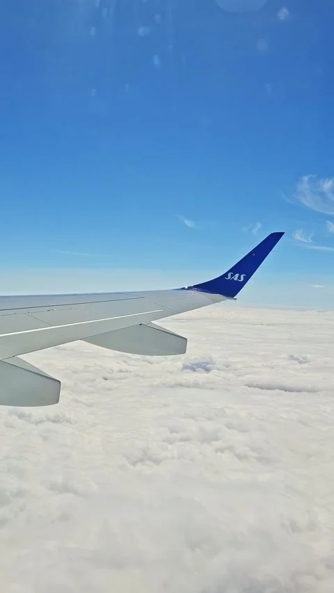 SAS airplane wing flying high above white clouds with a clear blue sky. Video stock 323217404