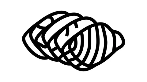 Sashimi salmon line icon animation Stock-Footage 224924253