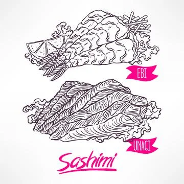 Sashimi. shrimp and eel Stock Illustration