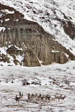 Saskatchewan Badlands 스톡 사진