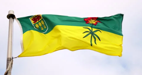 Saskatchewan Canada provincial flag flying in the wind Stock Footage 287486768