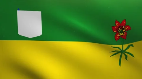 Saskatchewan Flag Waving Loop 4K – Saskatchewan Flag Animation Stock Footage 336072764