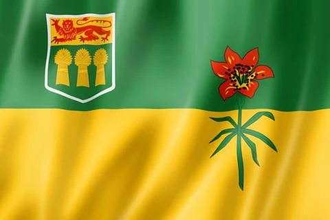Saskatchewan province flag, Canada Stock Illustration