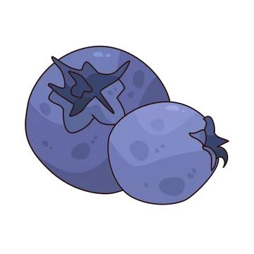Saskatoon Berry illustration Stock Illustration
