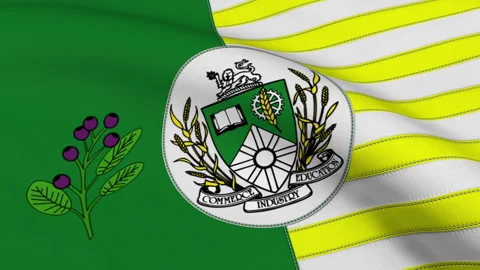 Saskatoon City Flag, Saskatchewan Loop Video stock 241230083