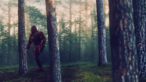 Sasquatch in Forest 01 Stock-Footage 241020373