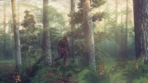 Sasquatch in Forest 02 Stock-Footage 241020507