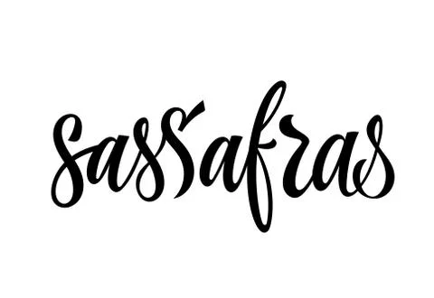 Sassafras - vector hand drawn calligraphy style lettering word. Stock Illustration