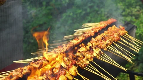 Satay or Sate Stock Footage 146125734