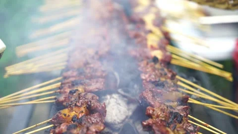 Satay or Sate Stock Footage 146131172