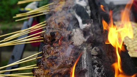 Satay or Sate Stock Footage 146131203