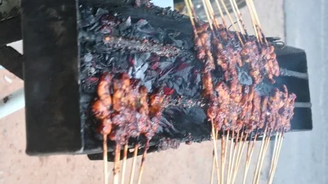 Satay (sate) Stock Footage 282560987
