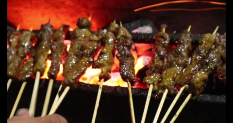Sate Stock Footage 310048207