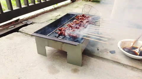 Sate Stock Footage 311177304