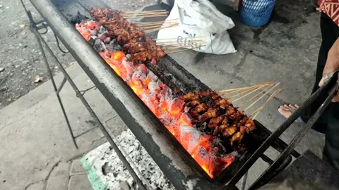 Sate or Satay Stock Footage 234404927