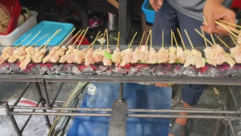 Sate taichan 1 Stock Footage 342609581