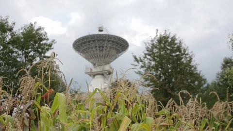 Satellite array at the Center of the Space Communication through cornfield Stock Footage 82284204