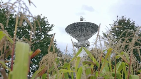Satellite array at the Center of the Space Communication through cornfield Stock Footage 82285181