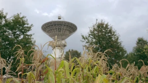 Satellite array at the Center of the Space Communication through cornfield Stock Footage 82285738