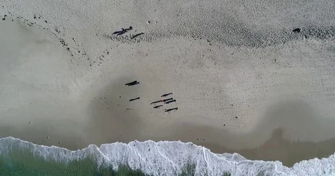 Satellite: beach to ocean Stockbeeldmateriaal 83883095