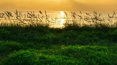 Satellite Beach at Sunrise Stock Footage 40081816