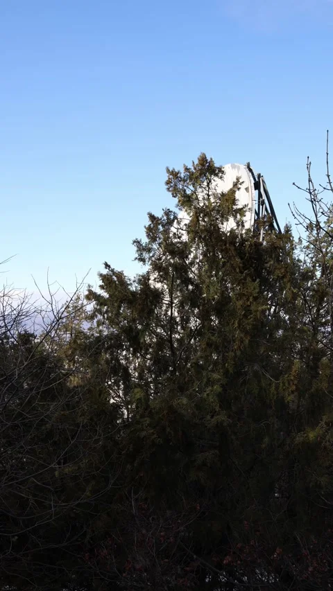 Satellite dish behind trees Stock Footage 331200666