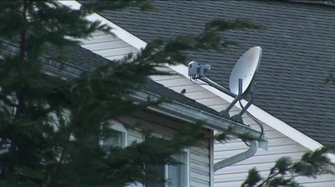 Satellite Dish Bird Video stock 329668