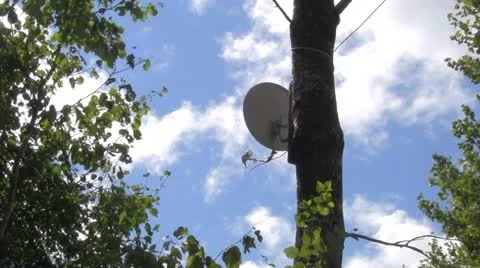 Satellite dish Video stock 12081543