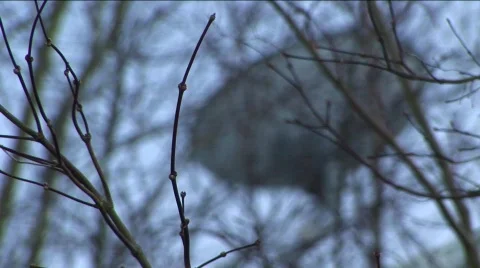 Satellite Dish Rack Focus Video stock 329674